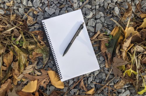 Blank Journal Pen